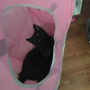 Meet your Posher, Zoe